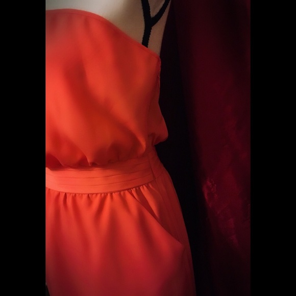 Bebe Dress - Picture 3 of 7